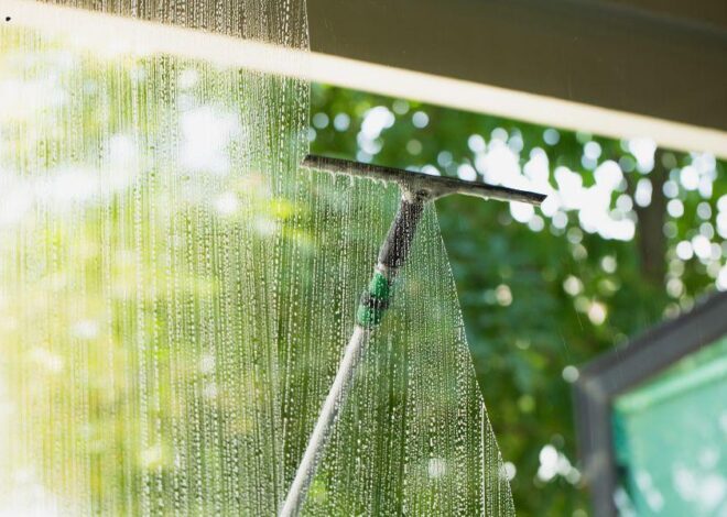 Naravna čistila so odlična v boju z umazanijo